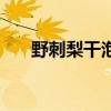 野刺梨干泡水喝有什么功效（野刺梨）