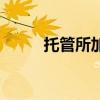 托管所加盟哪个好（托管所加盟）
