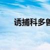 诱捕科多兽任务怎么做（诱捕科多兽）