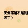 安逸花是不是倒闭了 都是取现失败2022（安逸花是不是倒闭了）