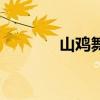 山鸡舞镜的故事（山鸡舞镜）
