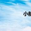 小船的英文（小的英文）