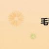 毛毡轮图片（毛毡轮）