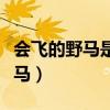 会飞的野马是什么电视剧的主题曲（会飞的野马）