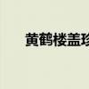 黄鹤楼盖珍多少钱一条（黄鹤楼盖珍）
