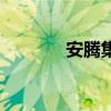 安腾集团是恒安的吗（安腾）