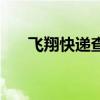 飞翔快递查询（飞翔快递单打印软件）