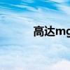 高达mg和hg的区别（高达mg）