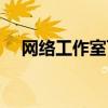 网络工作室可以做什么项目（网络工作）