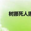 树挪死人挪活下一句（树挪死人挪活）