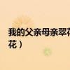 我的父亲母亲翠花要工资是哪一集（我的父亲母亲电视剧翠花）