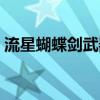 流星蝴蝶剑武器文件（流星蝴蝶剑武器补丁）