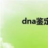 dna鉴定用什么试剂（dna鉴定）