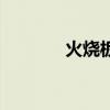 火烧板30x60价格（火烧板）