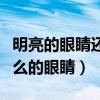 明亮的眼睛还有哪些词语（明亮的眼睛还有什么的眼睛）