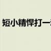 短小精悍打一动物谜底（短小精悍打一动物）