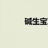 碱生宝对身体的害处（碱生宝）