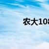 农大108玉米种简介（农大108）