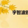 宇智波族徽高清图（宇智波族徽）