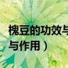 槐豆的功效与作用与主治及用量（槐豆的功效与作用）