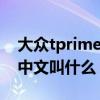 大众tprimegte中文名叫什么（大众tprime中文叫什么）
