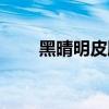 黑晴明皮肤有什么用（黑晴明皮肤）