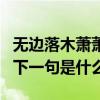 无边落木萧萧下打一个字（无边落木萧萧下的下一句是什么）