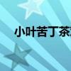 小叶苦丁茶对肝脏有好处吗（小叶苦丁）