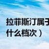 拉菲斯汀属于什么档次的品牌（拉菲斯汀属于什么档次）