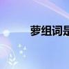 萝组词是什么有哪些（萝组词组）