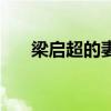 梁启超的妻子及子女（梁启超的妻子）