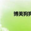 博美狗狗取名带好运（博美狗狗）
