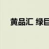 黄品汇 绿巨人（绿巨人3什么时候上映）
