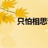 只怕相思苦在线阅读（只怕相思苦）