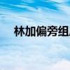 林加偏旁组成新字（才加偏旁组成新字）