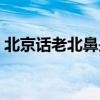 北京话老北鼻是什么意思（北鼻是什么意思）
