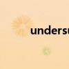 undersung 翻译（undersung）