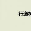 行道树的意思（行道树读音）