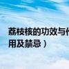 荔枝核的功效与作用禁忌的功效与作用（荔枝核的功效与作用及禁忌）