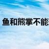鱼和熊掌不能兼得英语（鱼和熊掌不能兼得）