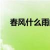 春风什么雨的成语有哪些（春风什么雨）