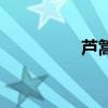 芦篙满地芦芽暖（芦篙）