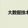 大数据技术主要学什么（大数据技术）