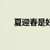 夏迎春是好人吗（夏迎春属什么生肖）