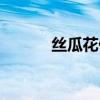 丝瓜花什么时候开花（丝瓜花）