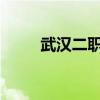 武汉二职2020录取线（武汉二职）