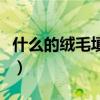 什么的绒毛填空三年级上册（什么的绒毛填空）