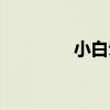 小白鹭艺术学校（小白鹭）