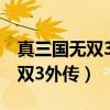 真三国无双3外传怎么打出来图解（真三国无双3外传）