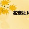 名宠社月销售额有多少（名宠社）